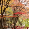 両界山横蔵寺