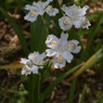 DSC01292