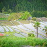 R0011508
