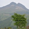 湯布院旅行１２