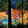 この景色がみたくて