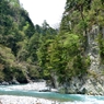 【新緑の黒部峡谷】峡谷美
