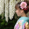 石井町藤まつり