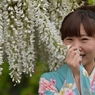 石井町藤まつり
