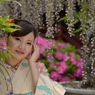石井町藤まつり