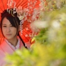石井町藤まつり