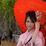 石井町藤まつり