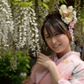 石井町藤まつり