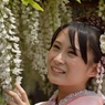 石井町藤まつり