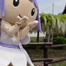 石井町藤まつり