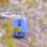 Sakura Transporter スーパー宗谷