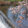 imgp3047