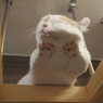 すー