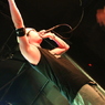 2014/4/4　CLAPPER