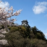 春の犬山