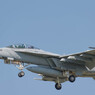 #106 VFA-102 Diamondbacks