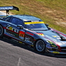 No.11 GAINER DIXCEL SLS