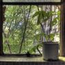 _DSC3333_4_5_6_7_tonemapped2.