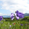 夏の風景