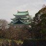 泳ぎ疲れて
