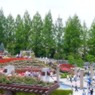 荒牧バラ公園へ