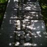 Rokkaen and Mr,Moroto's Park in Kuwana C