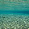 初夏の川で日光浴