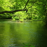 River of green