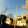 江ノ電路地裏