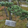 お、重い、、、Mなんです。。。