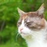 ウインク