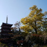 本土寺