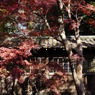本土寺