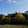 本土寺