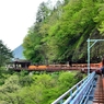 【新緑の黒部峡谷】黒薙駅　後曳橋