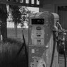 セントラル・オレゴンの風景 #6