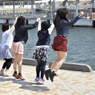 せーの！