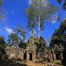 Ta Prohm①