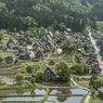 新緑の合掌村（城山展望台から）