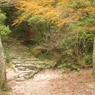 和び寂び