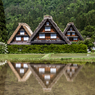 新緑をまとった白川郷の水鏡