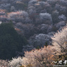 光と影の山肌