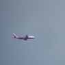 ×50(1200mm)