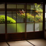 ryotanji shiga 