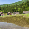 新緑の白川郷（苗植えあと）