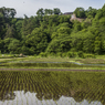 世界遺産白川郷の展望台（展望台を含めた世界遺産かどうか？）