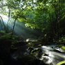 Sunlight I