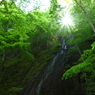 Sunlight II