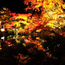 高台寺　～紅鏡水～