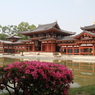 京都旅行Ⅱ 002